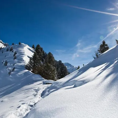 Steinkogel * St. Leonhard im Pitztal