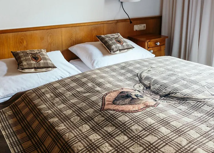 Steinkogel Guest house