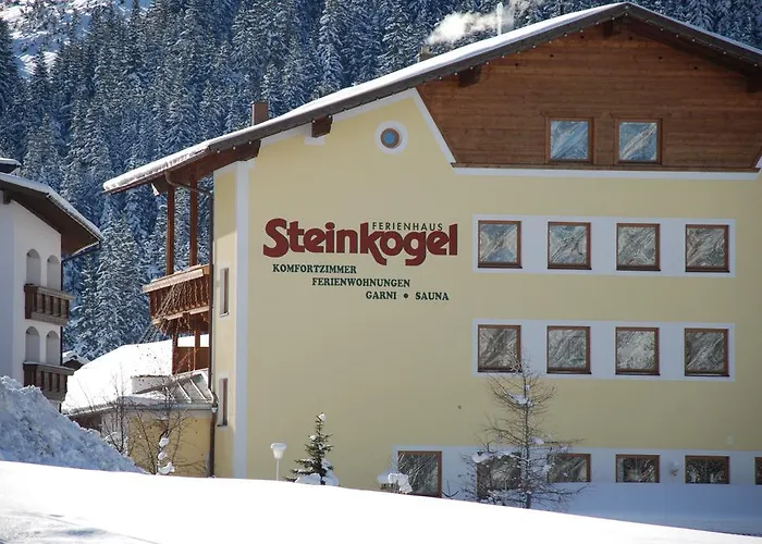 Steinkogel ゲストハウス