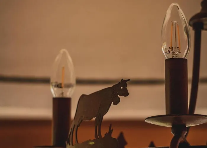 Guest house Steinkogel Sankt Leonhard im Pitztal