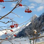 Steinkogel 3* Sankt Leonhard im Pitztal