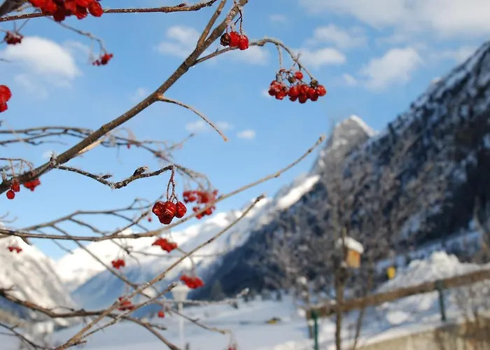 Steinkogel 3* Sankt Leonhard im Pitztal